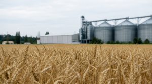 Fondurile speculative trimit un mesaj clar: piața agricolă rămâne sub presiune