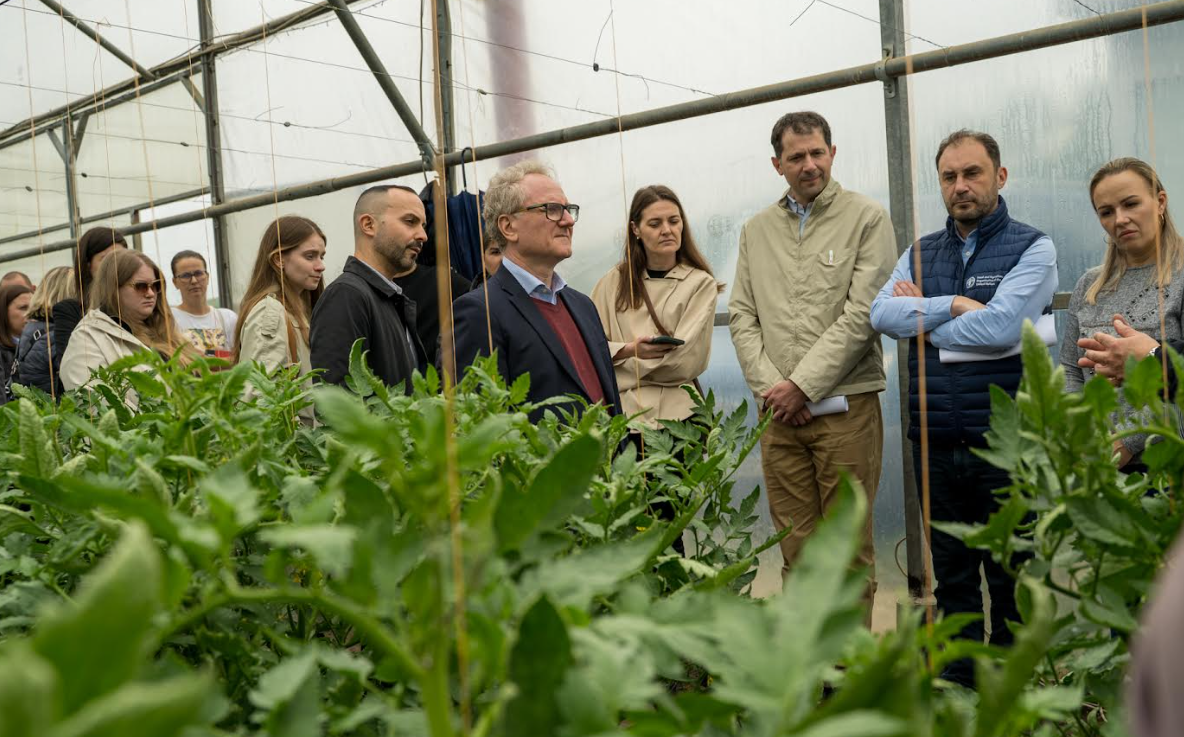 FAO lansează opt școli de câmp pentru fermierii legumicoli din Moldova