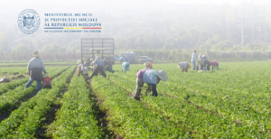 Platforma „e-Zilier” va fi lansată în Republica Moldova: un nou instrument pentru evidența muncii ocazionale
