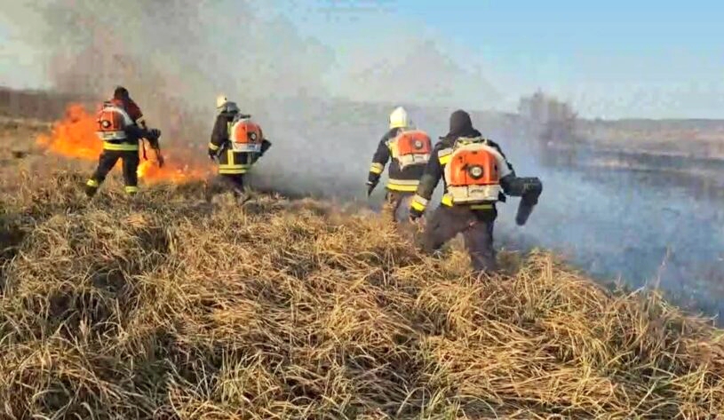 16 incendii de vegetație în 24 de ore. Peste 35 de hectare au fost cuprinse de flăcări