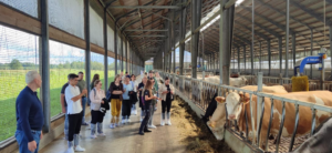 Cum funcționează consilierea agricolă în Letonia și ce poate prelua Moldova