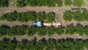Istorie de succes: Fermieri din Moldova aleg tehnologia New Holland