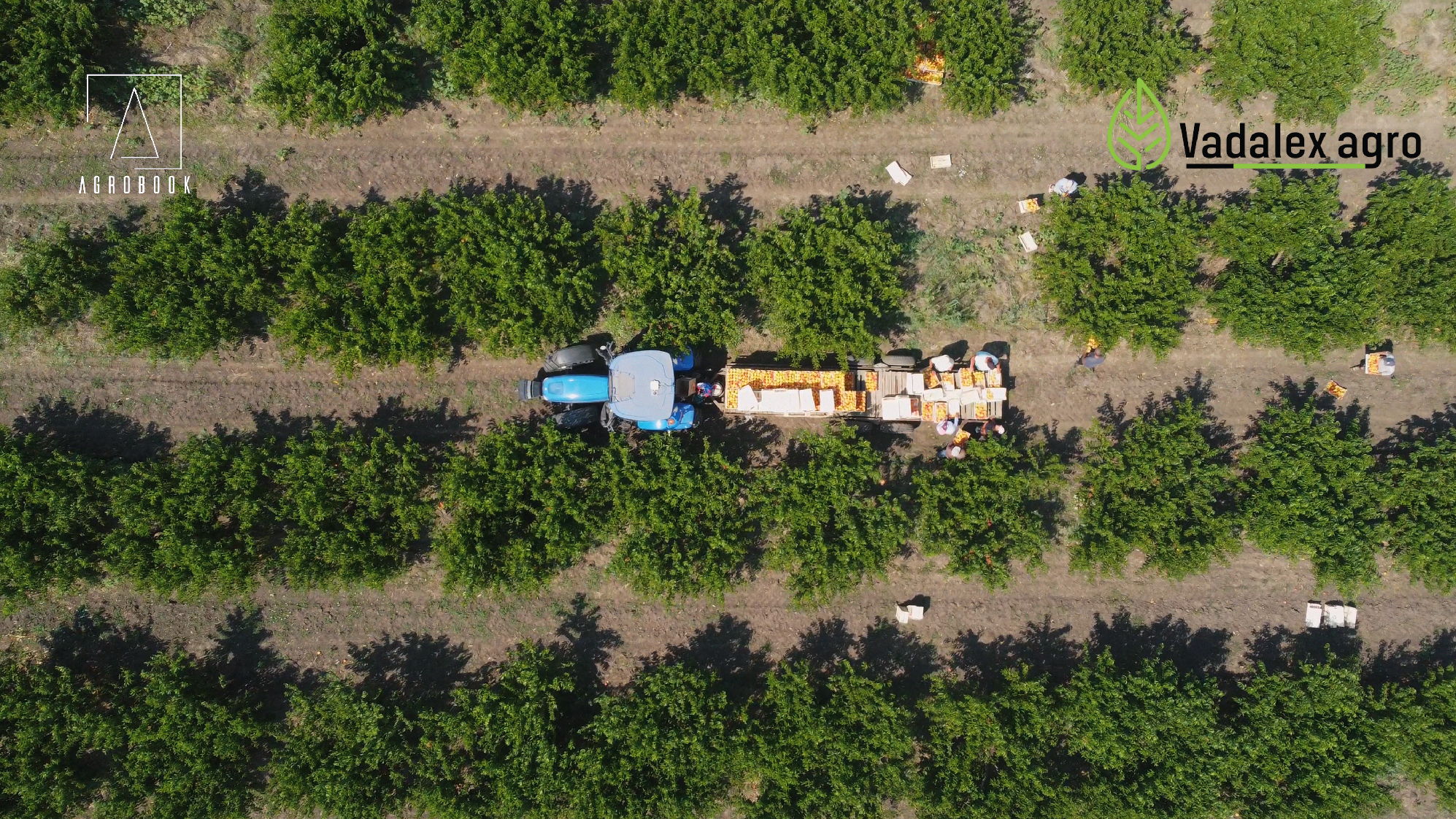 Istorie de succes: Fermieri din Moldova aleg tehnologia New Holland