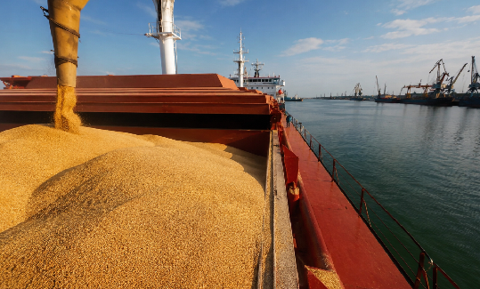Lituania solicită UE sancțiuni pentru cerealele rusești, acuzând Moscova că folosește porturile și infrastructura europeană