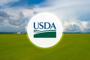 USDA schimbă prognozele pentru porumb, grâu și soia. Ce semnale transmite piața mondială