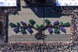 Ziua Națională a Vinului 2026, rezultate record: 116.880 de degustări
