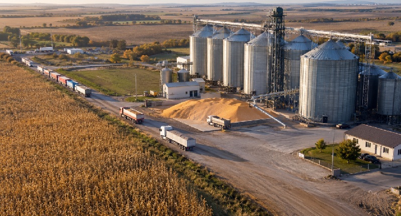 Piața cerealelor din Moldova la situația din 22.10.2026