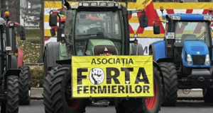Fermierii cer prelungirea licențelor pentru importul de cereale