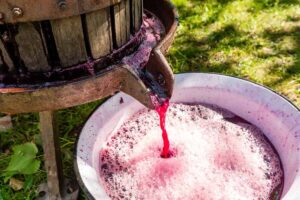 Pericol de intoxicare în timpul fermentării vinului: 2 177 de gospodării, verificate de IGSU