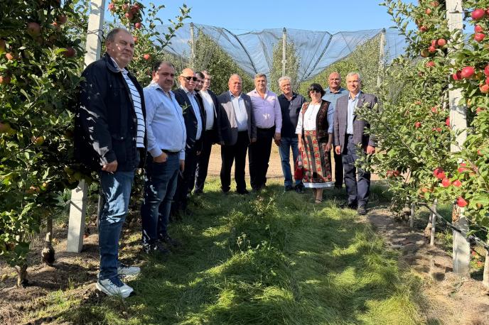 Prioritățile sectorului pomicol, discutat de Ministerul Agriculturii cu producătorii de fructe