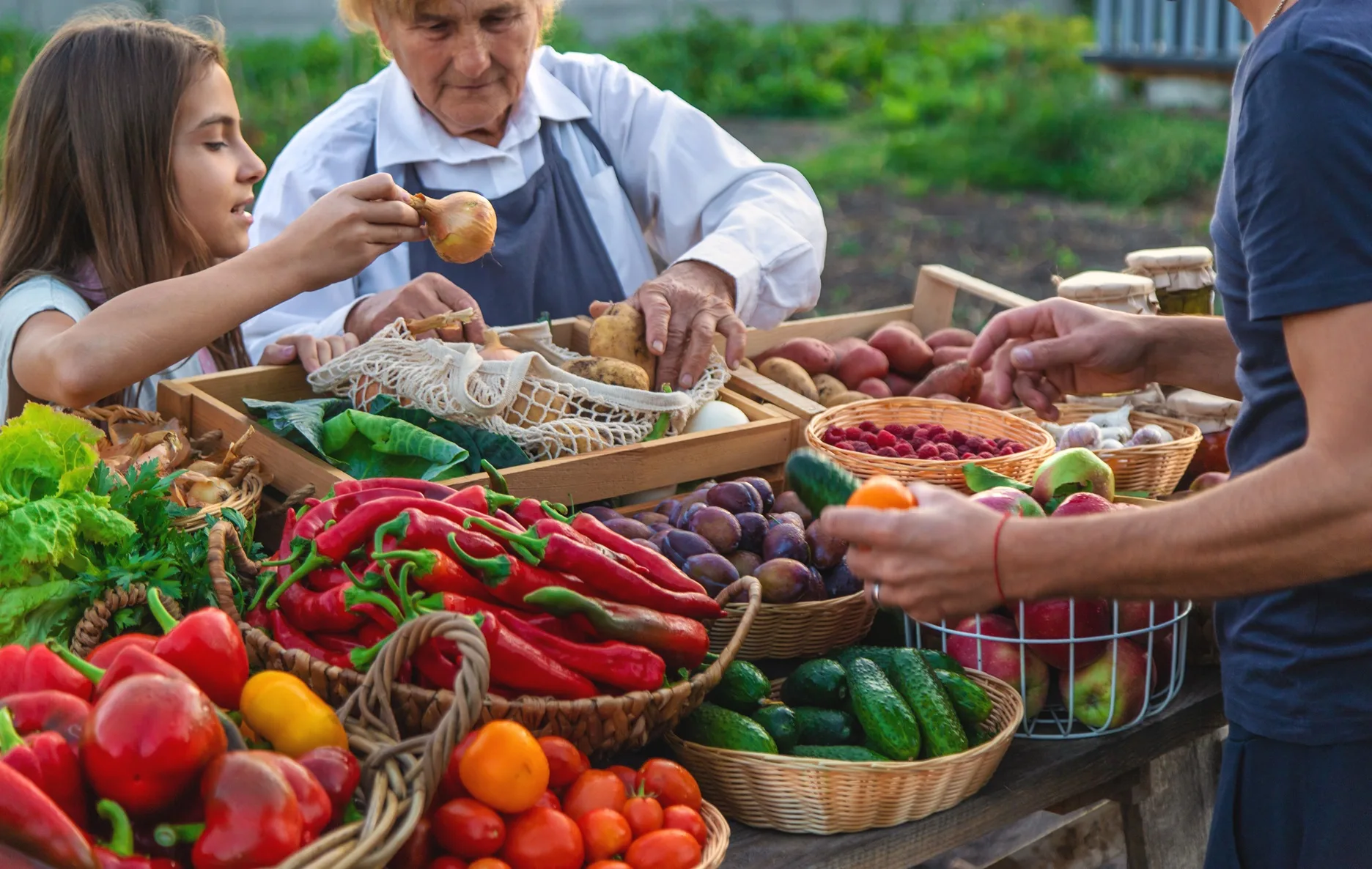 Guvernul simplifică regulile pentru micii producători alimentari